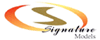 Signature Diecast Models